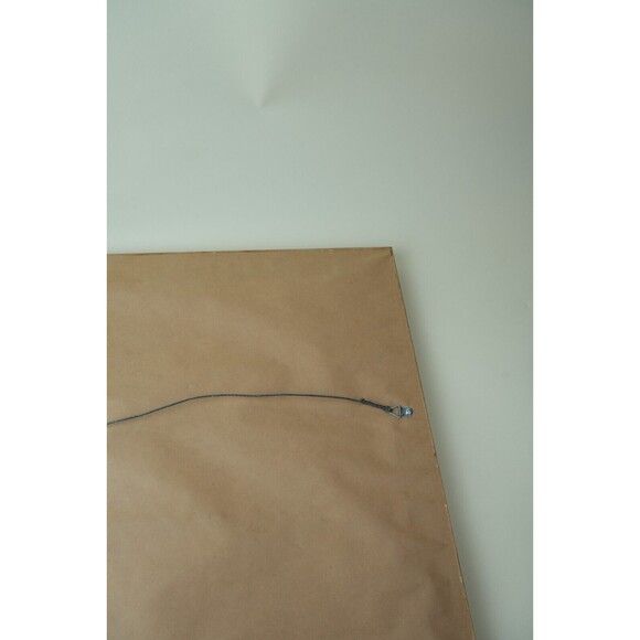 Soviet Union Waterfowl Stamps 1989-1991 | Gold-Framed Display Page | Collectible - Picture 16 of 16